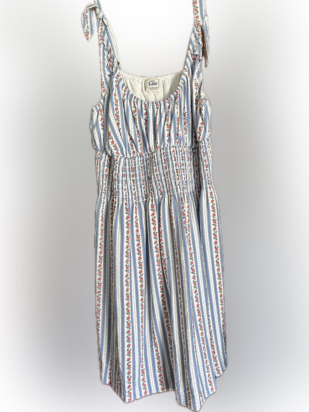 Lee Blue and White Striped Dress with Red Floral Accents